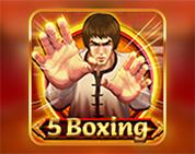 5 Boxing