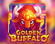 Golden Buffalo